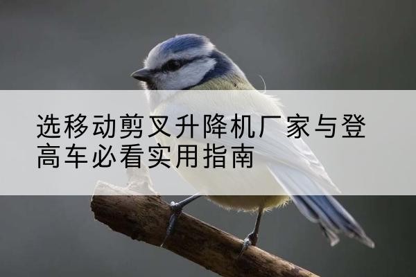 江州电动升降机厂家-选移动剪叉升降机厂家与登高车必看实用指南