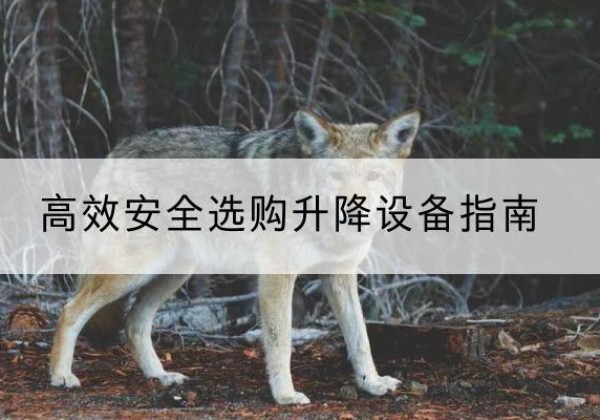 江州升降货梯厂家推荐-*安全选购升降设备指南