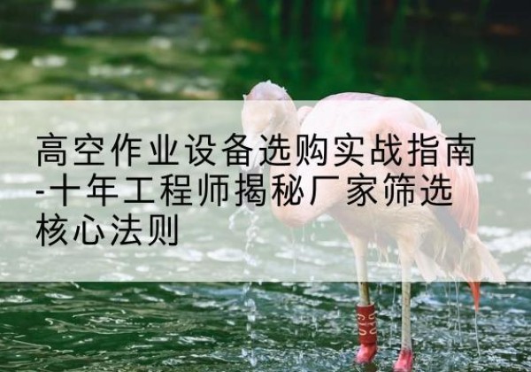江州剪叉式升降机厂家-高空作业设备选购实战指南-十年工程师揭秘厂家筛选核心法则